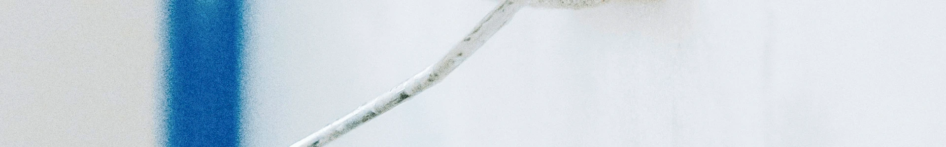 Pintura y decoración